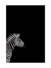 Zebra - Art Print